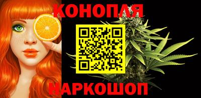 стафф Кинель