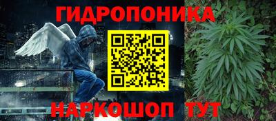 стафф Кинель
