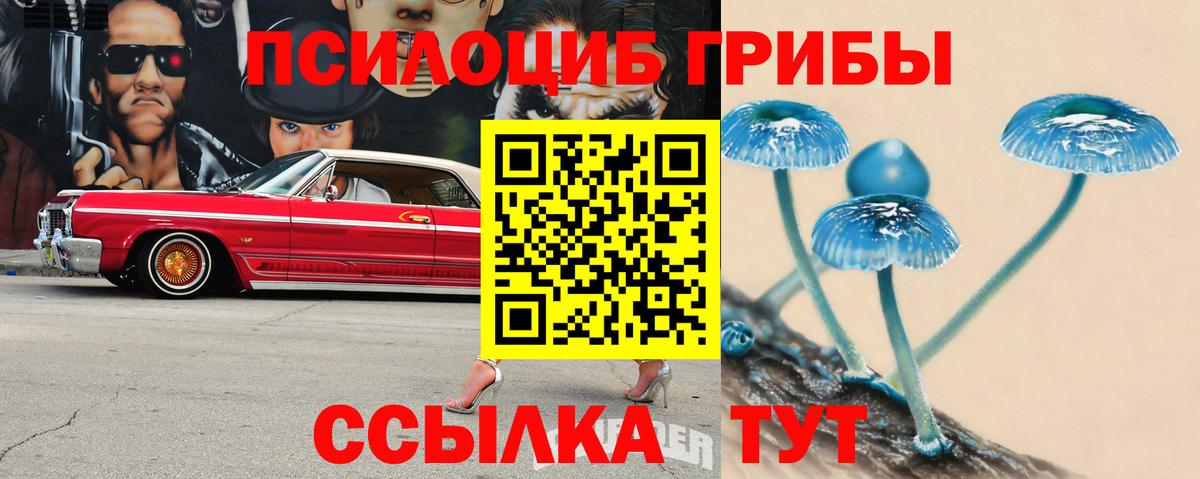 Псилоцибиновые грибы MAGIC MUSHROOMS Конаково